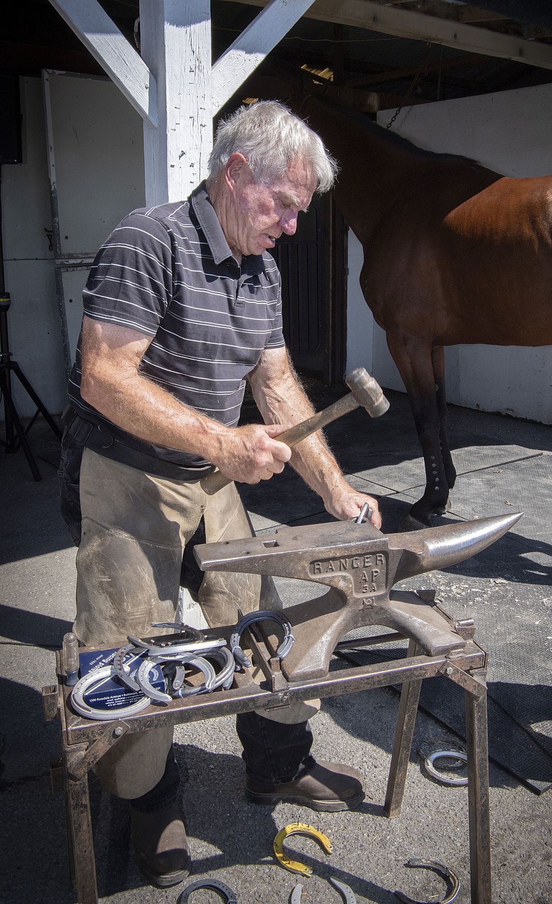 Fair Horse Shoe